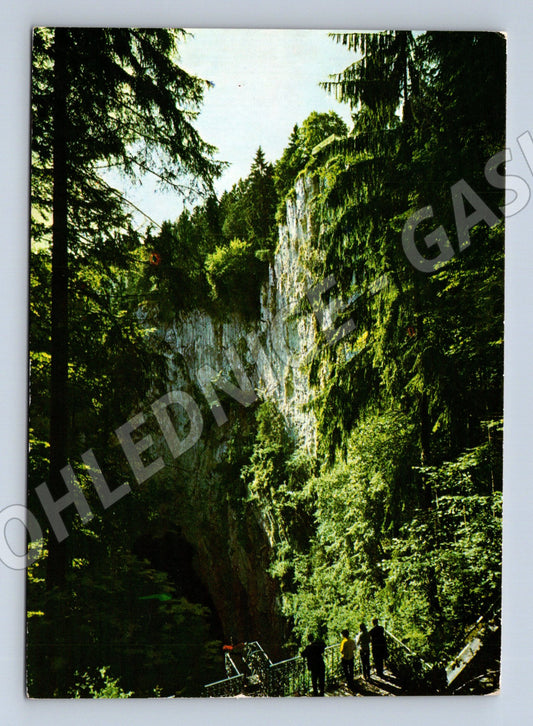 Pohlednice Propast Macocha Moravský kras 1952 (M8296)