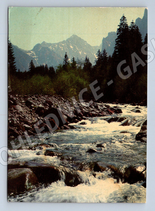 Postcard High Tatras Bielovodská dolina old Czechoslovakia (M8393)