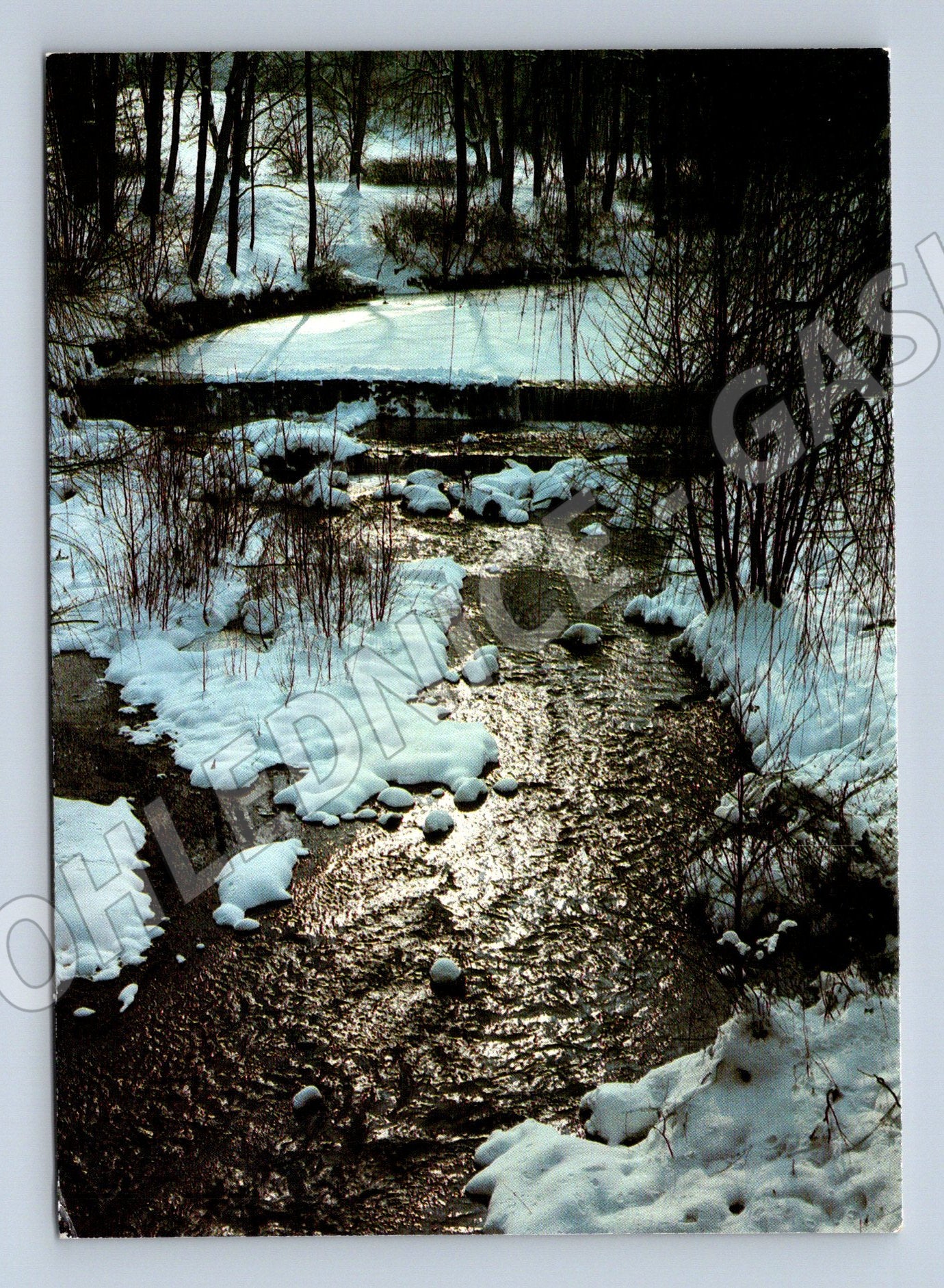 Pohlednice Krásný Dvůr zámecký park v zimě Pressfoto (M8426)
