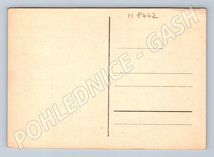 Pohlednice Lemberk sídlo bl Zdislavy stará pohlednice (M8442)