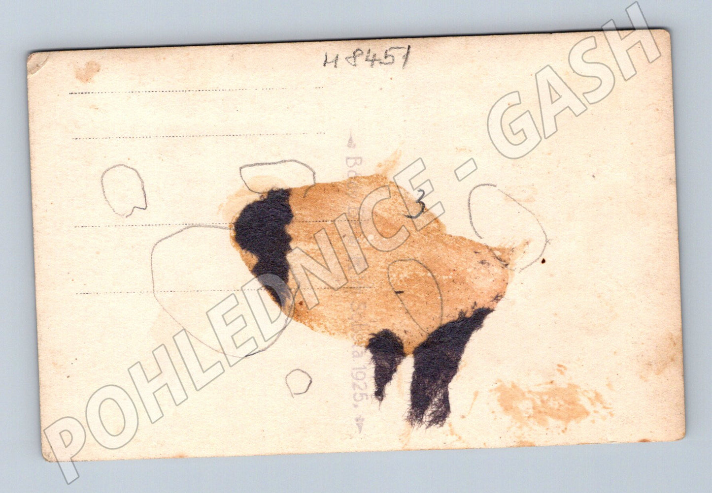 Pohlednice Pasekáři 1925 skupina v krojích etnografie (M8451)