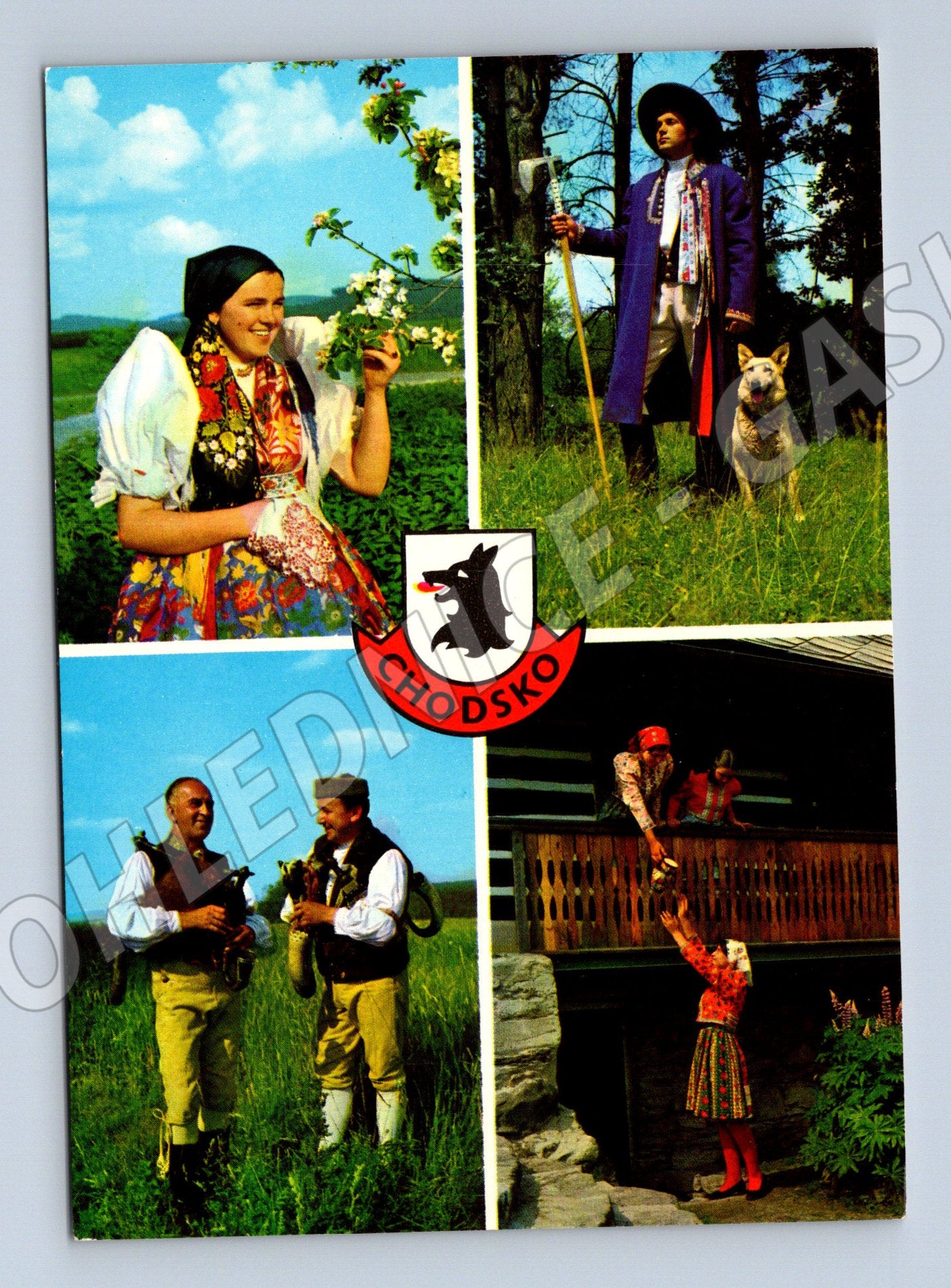 Pohlednice Pozdrav z Chodska lidové kroje etnografie (M8454)