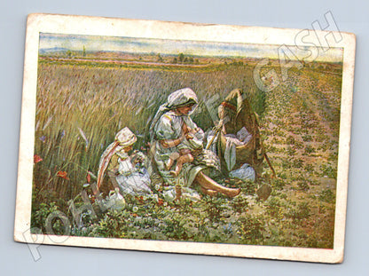 Pohlednice A Frolka Matka v poli Morava etnografie (M8464)