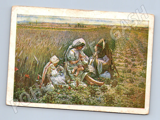 Pohlednice A Frolka Matka v poli Morava etnografie (M8464)