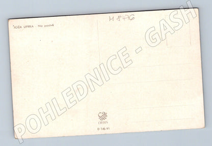 Pohlednice Joža Uprka Na pastvě Orbis etnografická (M8476)