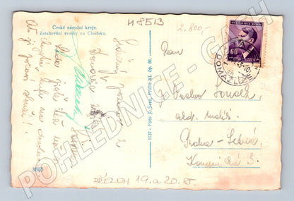 Zatahování svatby na Chodsku české kroje (M8513)