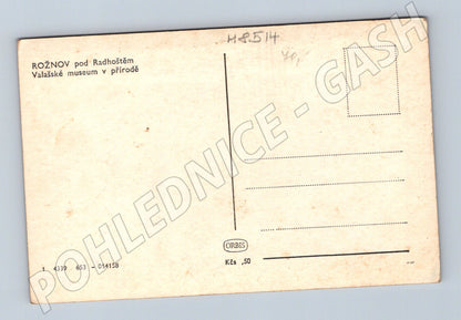 Rožnov Valašské muzeum krojovaní tanečníci (M8514)