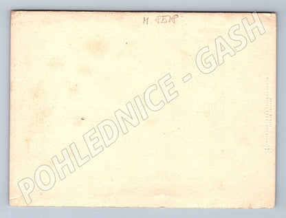 Dostavník v zimní krajině Vánoce 1938 (M8518)