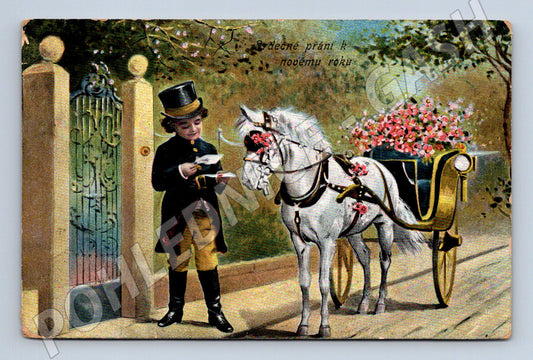 Novoroční kočár s bílým koněm RU pohlednice (M8532)
