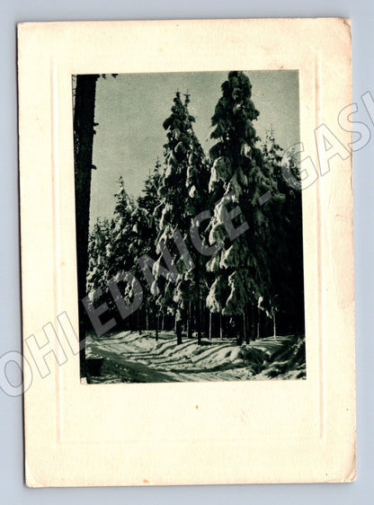 Zimní krajina ČSR 1945 malý formát (M8541)