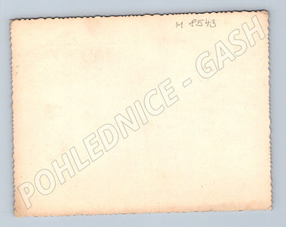 Dítě s vánočním stromečkem malý formát (M8543)