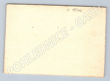 Zimní hrad či kostel linoryt starý pohled (M8546)