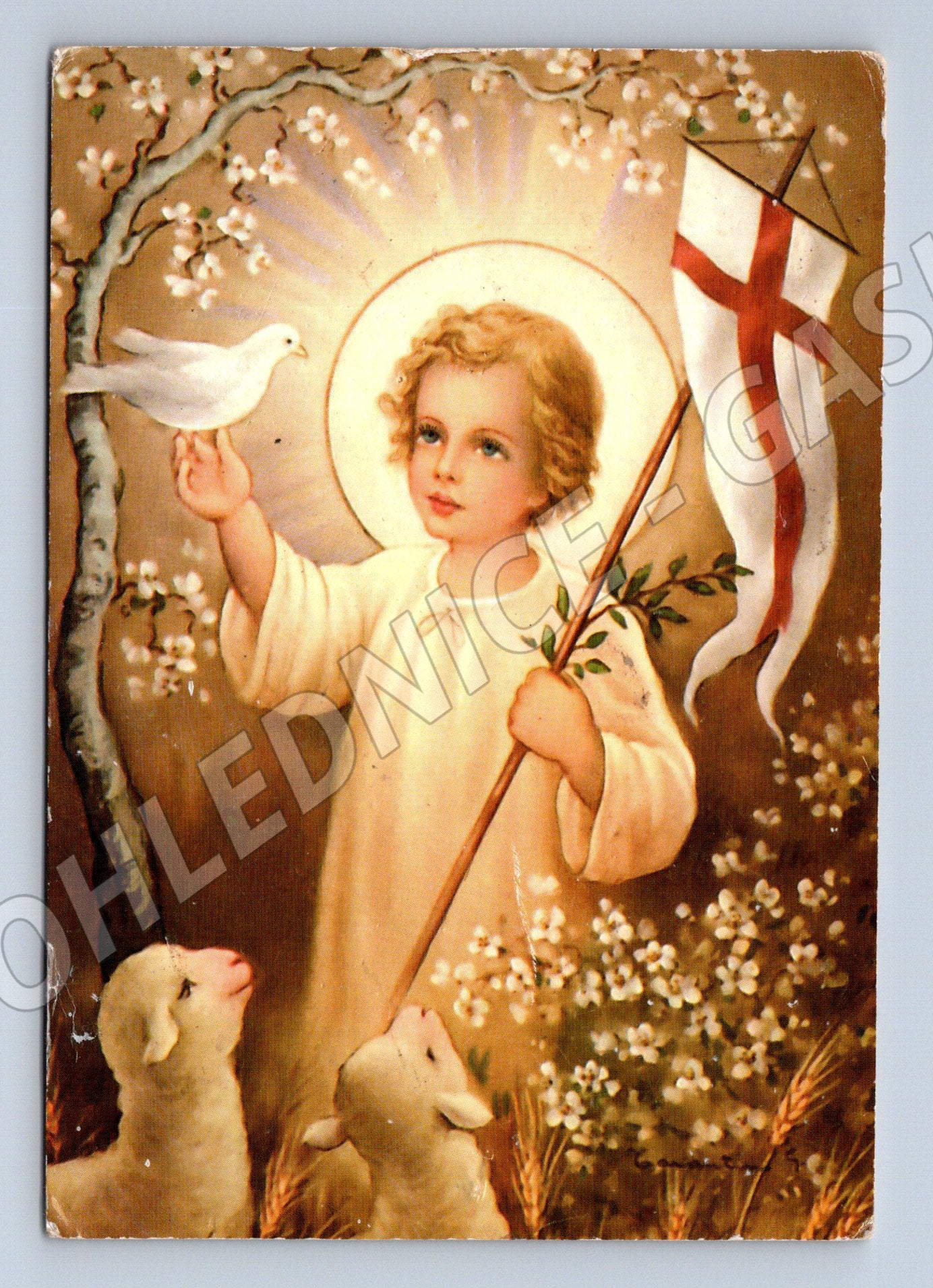 Ježíšek s jehňaty a holubicí Polsko 1981 (M8554)