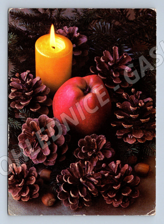 Vánoční DDR 1981 svíčka jablko šišky (M8561)