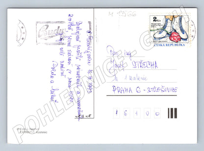 Vánoční ČR 1993 ozdoba a smrková větev (M8566)