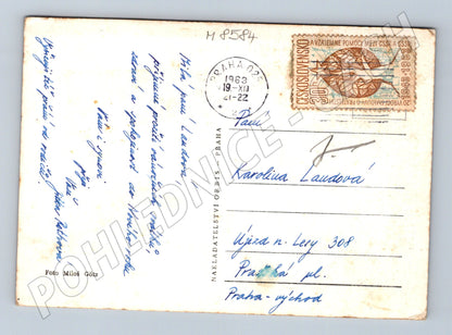 Vánoční ČSSR 1963 Radostné Vánoce (M8584)