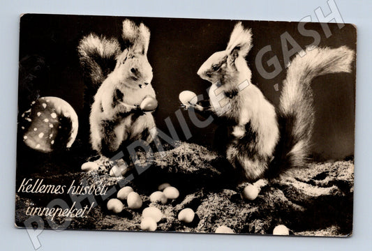 Pohlednice Velikonoce Maďarsko veverky vajíčka (M8618)