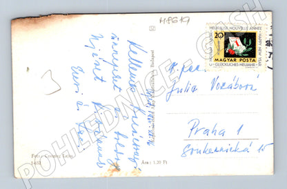 Pohlednice Vánoce Maďarsko ozdoby muchomůrky (M8619)