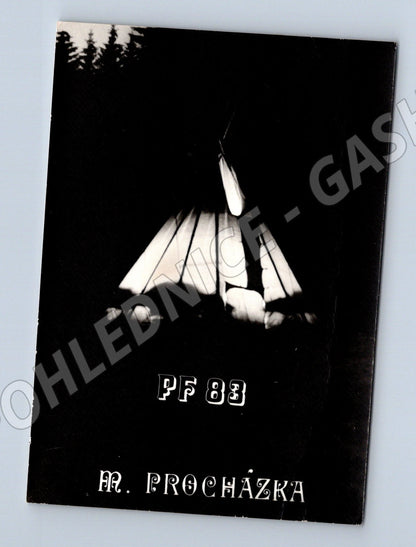 Pohlednice PF 83 R Procházka letecká (M8625)