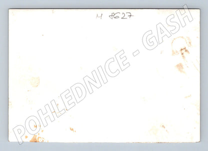 Pohlednice PF 81 jeleni na louce (M8627)