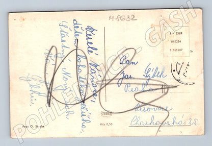 Postcard Happy New Year Cross-Country Skiers to 1950 (M8632)