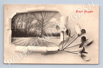 Pohlednice RU Prosit Neujahr zimní krajina jmelí (M8644)