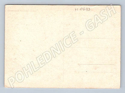 Pohlednice Osvobozené Václavské náměstí 1945 (M8683)