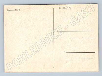 Pohlednice Krasnoarmějka II SSSR originál (M8691)
