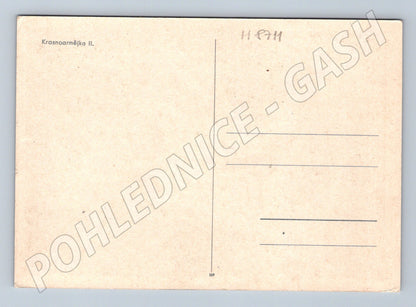 Pohlednice Krasnoarmějka II SSSR portrét (M8711)