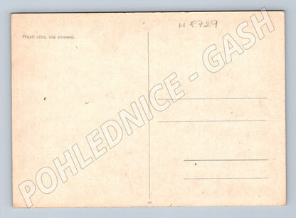 Pohlednice Vojáci v automobilu odpočinek WWII (M8729)