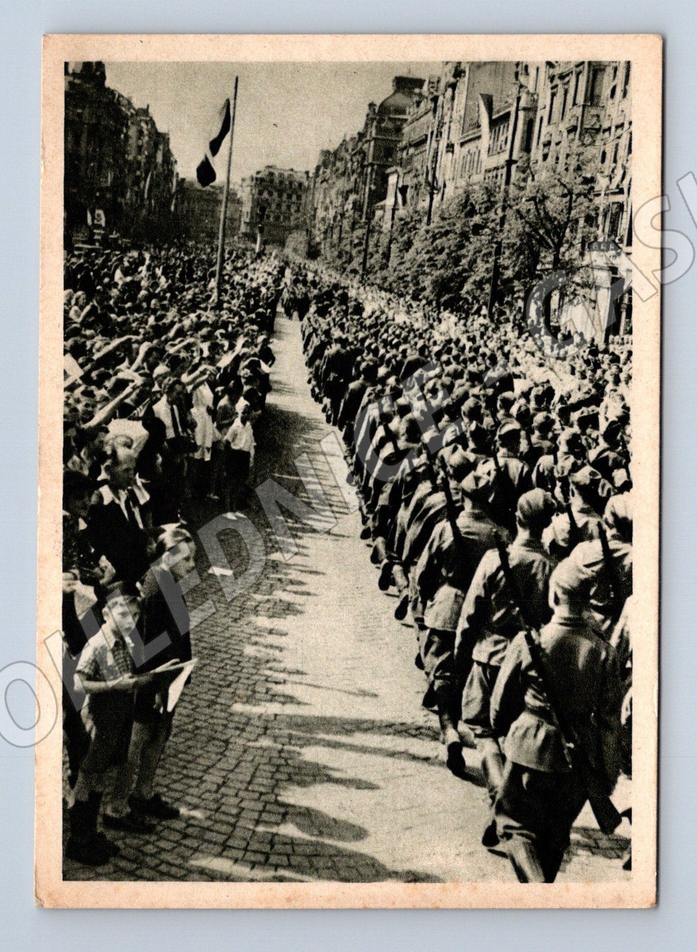 Pohlednice Pochod ČS armády Václavák do 1950 (M8735)