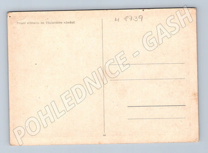 Pohlednice Pálení Hitlerů Václavské náměstí (M8739)