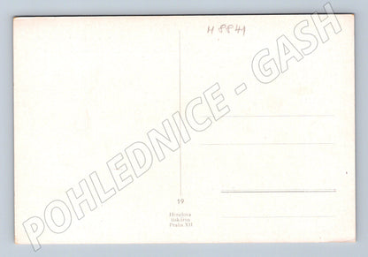 Postcard girl in folk costume clean (M8841)
