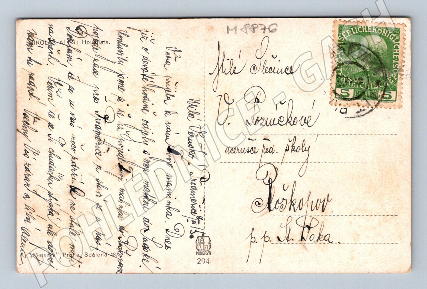 Pohlednice houslista v kroji etno 1908 (M8876)
