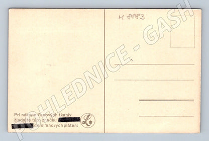 Postcard Slovak housewife spun flax (M8883)