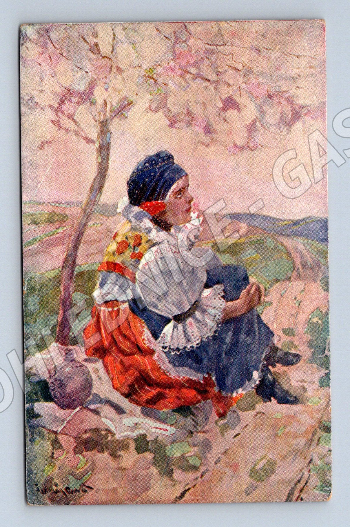 Postcard woman in traditional costume Černý Rud Desire for ethnography (M8900)