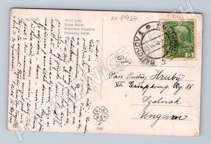 Postcard ethno costume 1915 F Klimeš RU stamp (M8927)