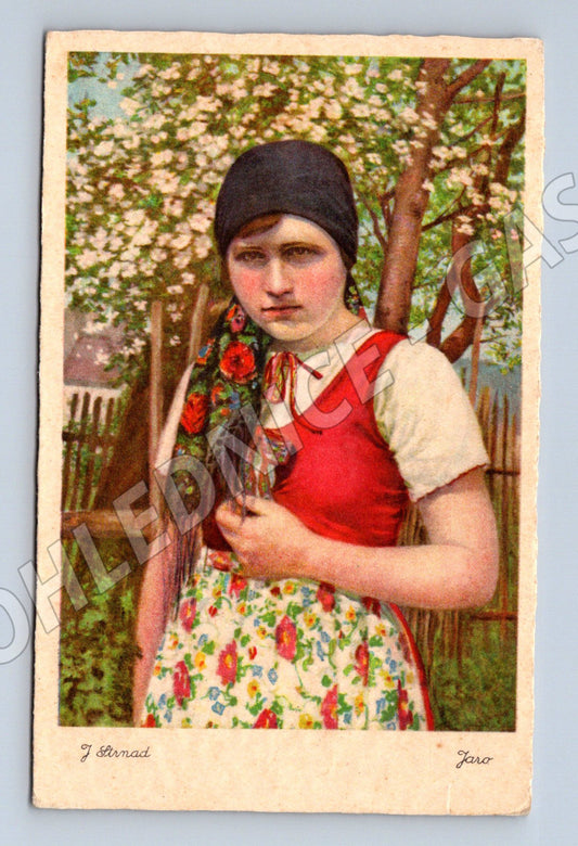 Pohlednice mladá žena v kroji kolorovaná (M8956)
