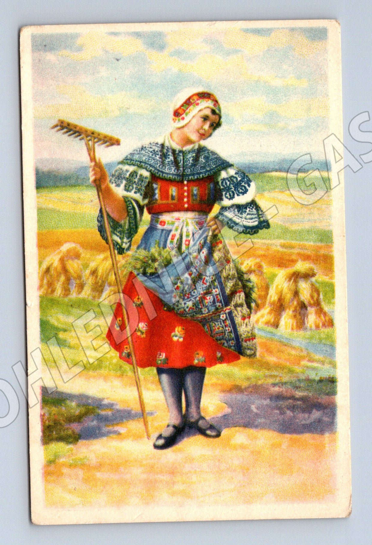 Postcard woman in traditional costume A Brodský ethnography (M8958)