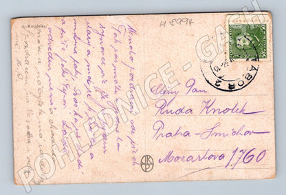 Postcard woman in traditional costume J Koudelka used (M8994)