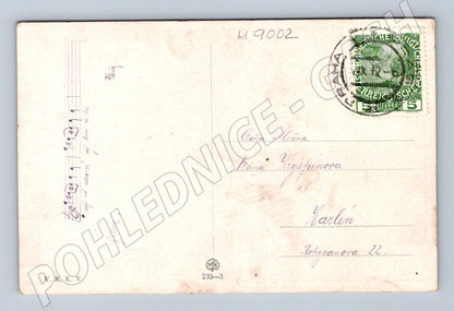 Pohlednice děvče z Uherského Brodu Muttich 1908 (M9002)
