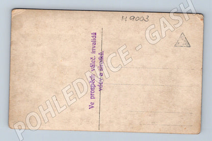 Postcard woman in Czech costume charity 1915 (M9003)