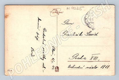 Pohlednice lidové kroje etnografie zaslaná (M9025)