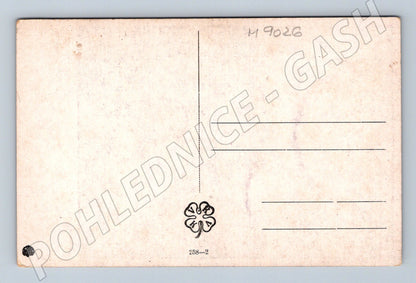 Pohlednice Děvče ze Slovače Muttich kroj (M9026)