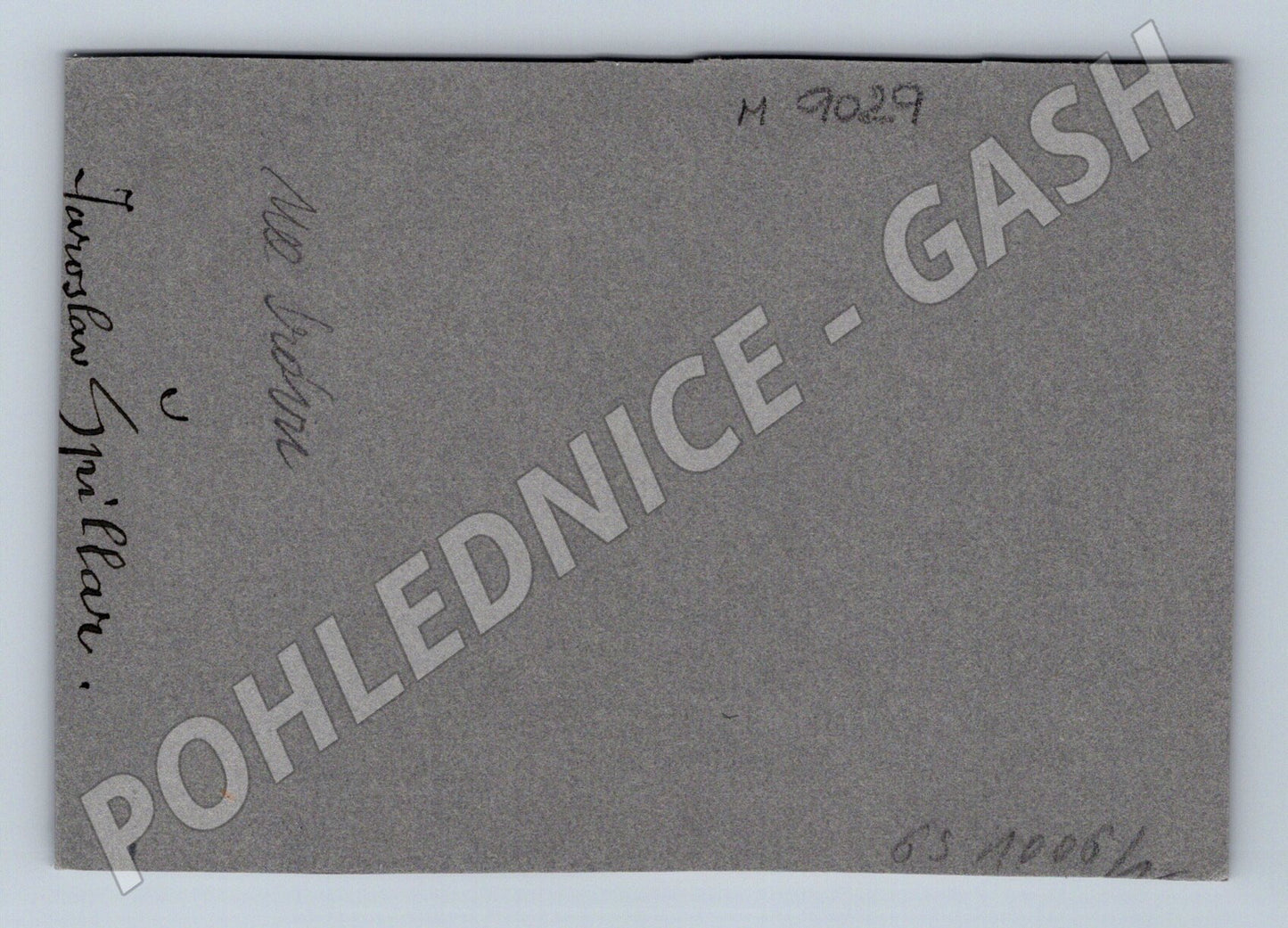 Pohlednice Špillar dívka s košem Chodsko (M9029)