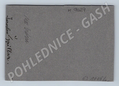 Pohlednice Špillar dívka s košem Chodsko (M9029)