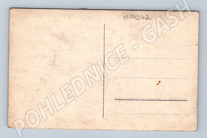 Pohlednice zimní scéna koně saně Masopust (M9042)