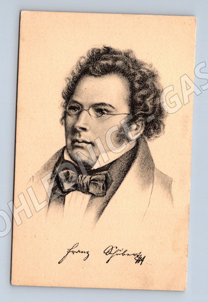 Postcard Franz Schubert portrait, unused (M9074)