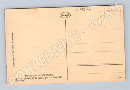 Postcard Franz Schubert portrait, unused (M9074)