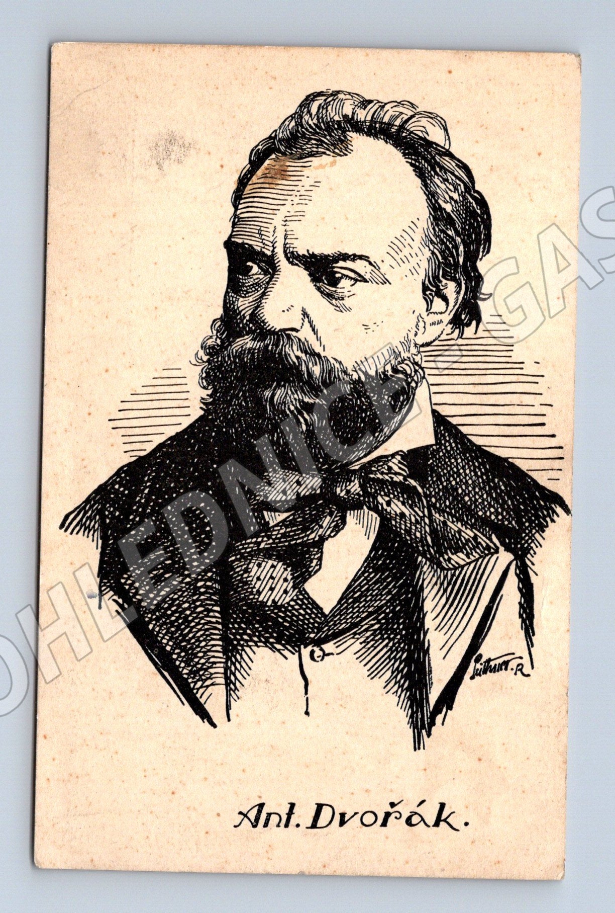 Pohlednice Antonín Dvořák Peithner portrét (M9091)